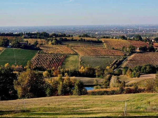 terreno agricolo in vendita a Valsamoggia in zona Montebudello