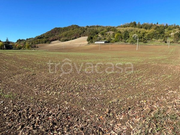 terreno agricolo in vendita a Valsamoggia in zona Monteveglio