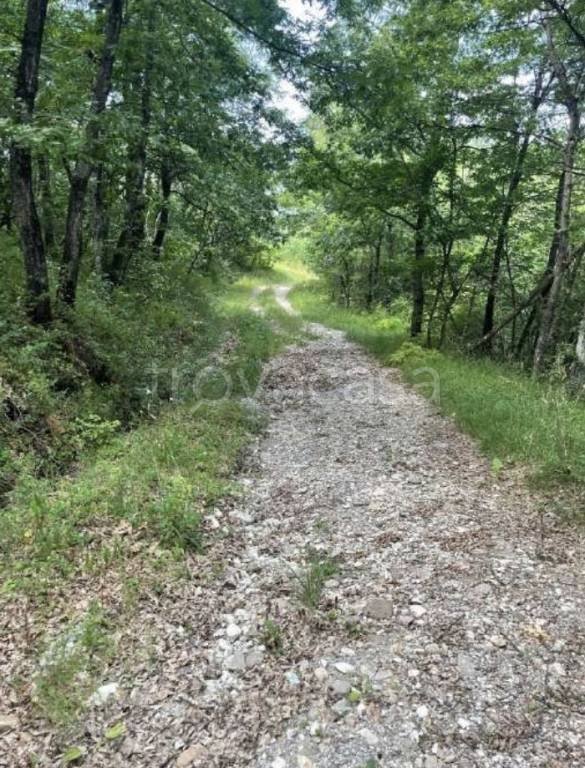 casa indipendente in vendita a Valsamoggia in zona Savigno