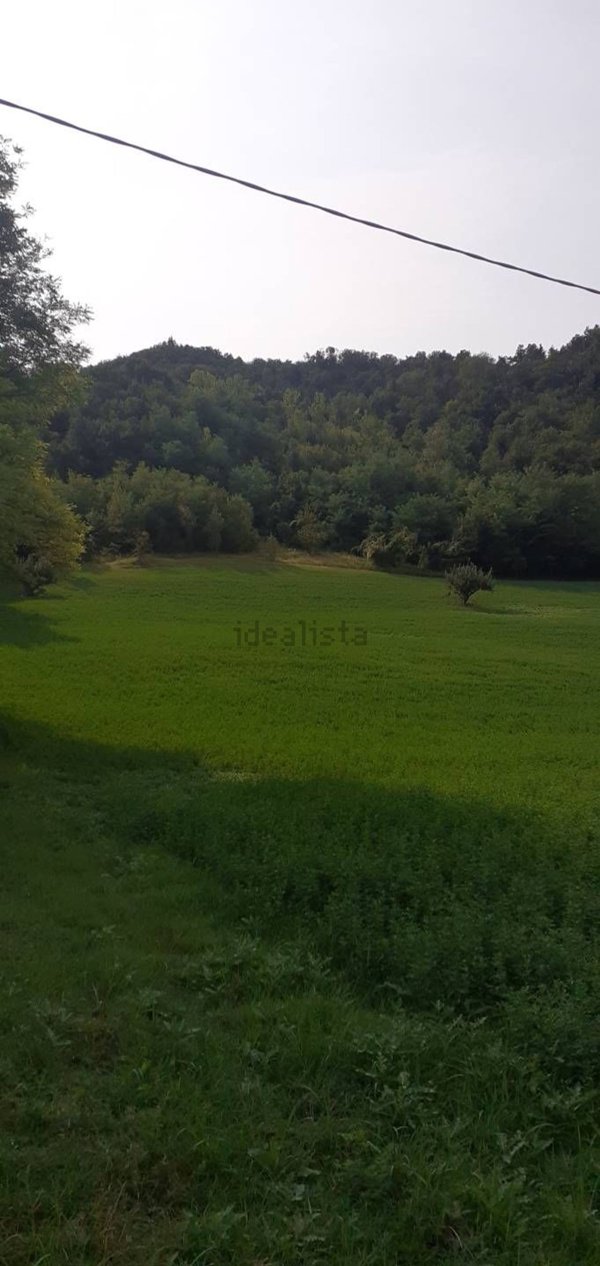 terreno agricolo in vendita a Valsamoggia in zona Savigno