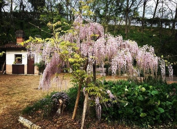 casa indipendente in vendita a Valsamoggia in zona Fagnano