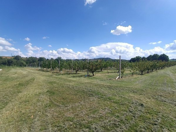 terreno agricolo in vendita a Valsamoggia in zona Bazzano
