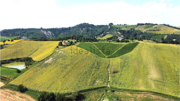 terreno agricolo in vendita a Valsamoggia in zona Monteveglio