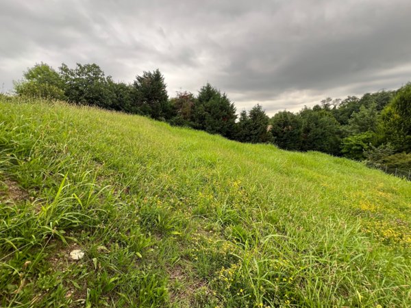 terreno agricolo in vendita a Valsamoggia in zona Bazzano