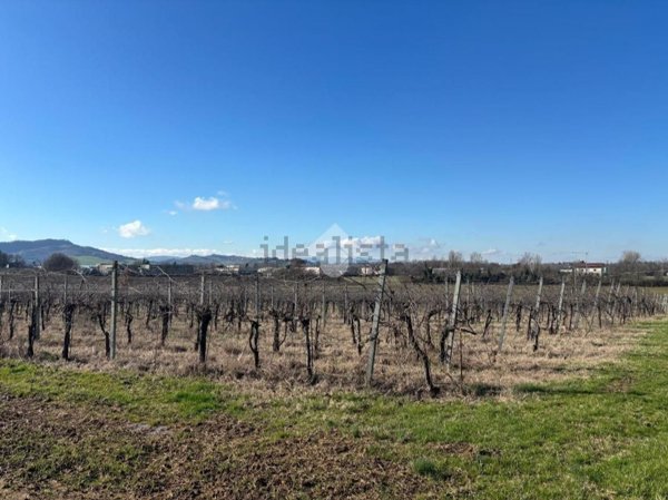terreno agricolo in vendita a Valsamoggia in zona Crespellano