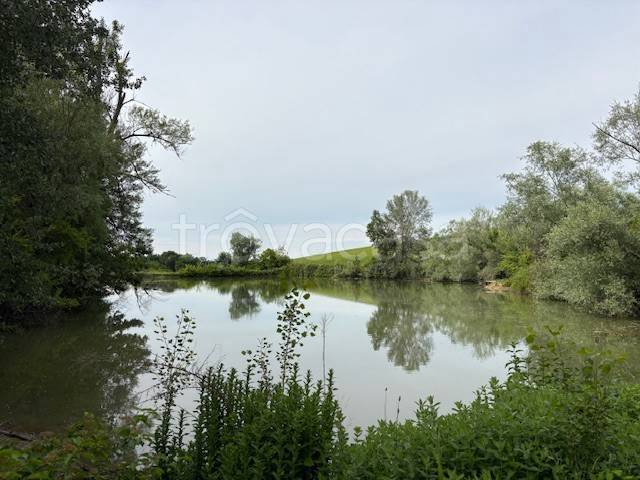 terreno agricolo in vendita a Valsamoggia in zona Montebudello