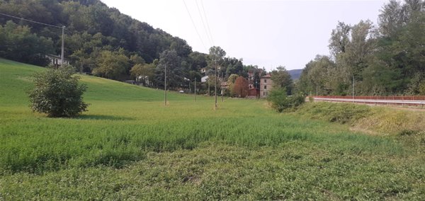 terreno agricolo in vendita a Valsamoggia in zona Savigno