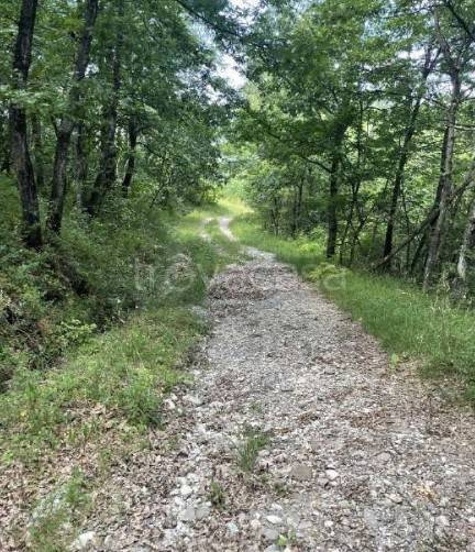 casa indipendente in vendita a Valsamoggia in zona Savigno
