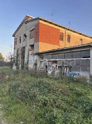 azienda agricola in vendita a Valsamoggia