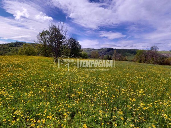 terreno agricolo in vendita a Valsamoggia in zona Savigno