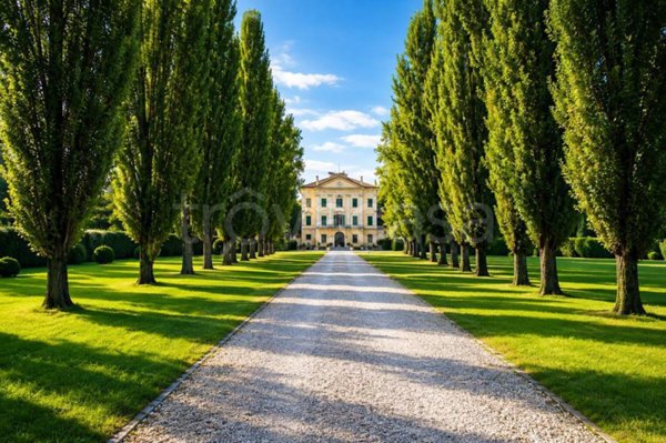immagine annuncio 0 di 15