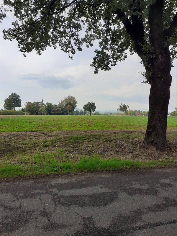 terreno agricolo in vendita a Valsamoggia in zona Bazzano