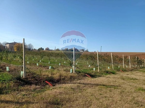terreno agricolo in vendita a Valsamoggia in zona Bazzano