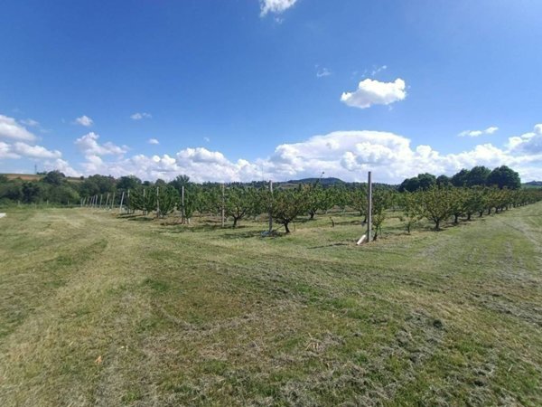 terreno agricolo in vendita a Valsamoggia in zona Bazzano