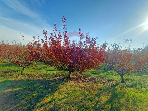 terreno agricolo in vendita a Valsamoggia