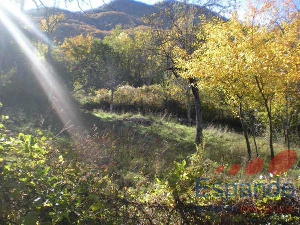 terreno agricolo in vendita ad Alto Reno Terme in zona Borgo Capanne