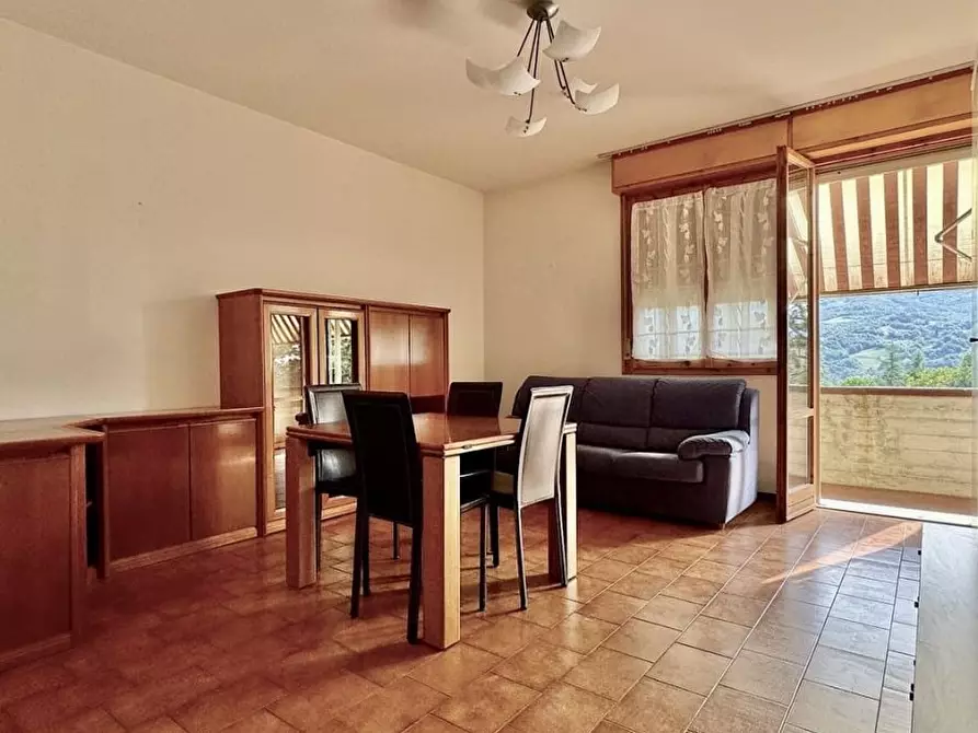 immagine annuncio 0 di 1