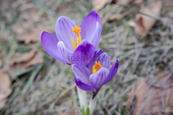 casale in vendita ad Alto Reno Terme