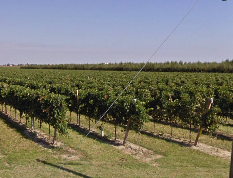 locale di sgombero in vendita ad Argenta