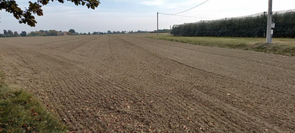 terreno agricolo in vendita ad Argenta