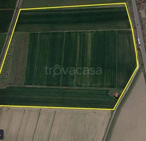 terreno agricolo in vendita ad Argenta