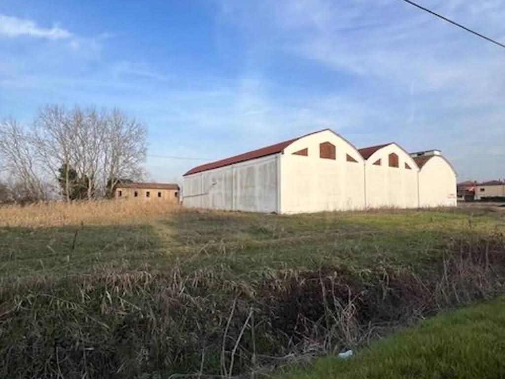 locale commerciale in vendita ad Argenta in zona Consandolo