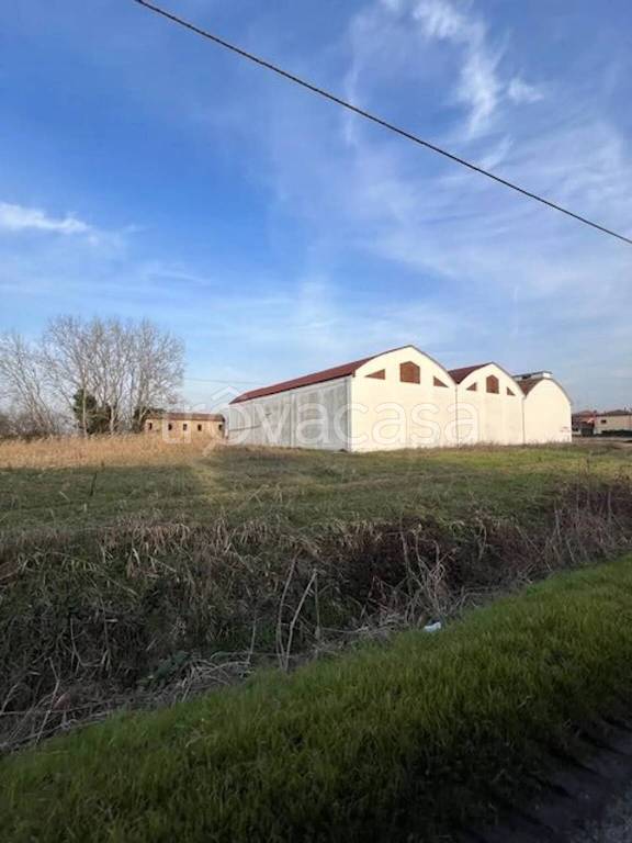 locale commerciale in vendita ad Argenta in zona Consandolo