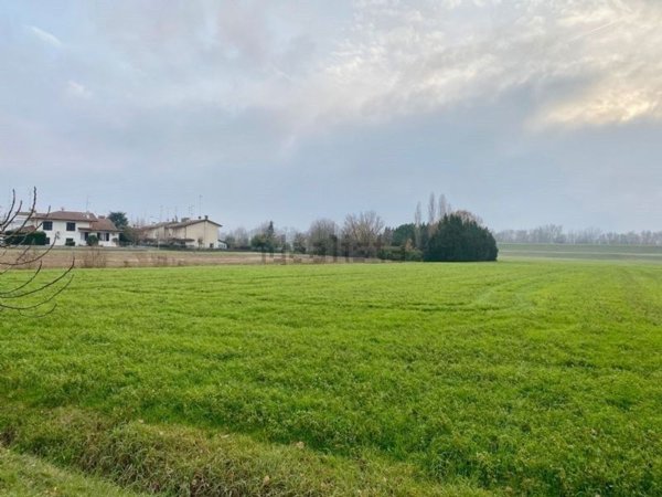 terreno edificabile in vendita ad Argenta