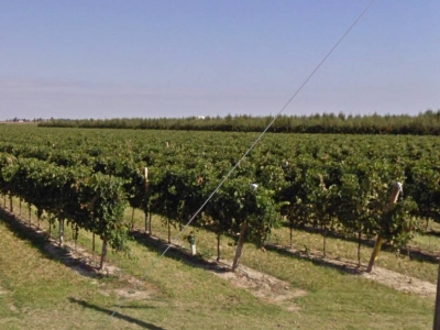 locale di sgombero in vendita ad Argenta