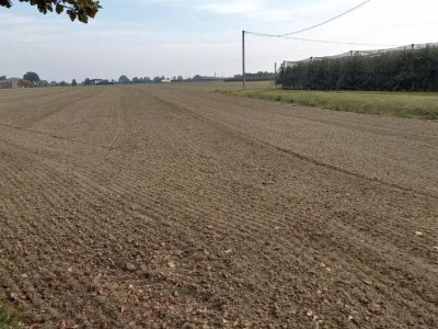 terreno agricolo in vendita ad Argenta