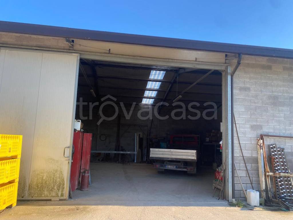 appartamento in vendita ad Argenta in zona Consandolo