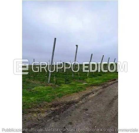 ufficio in vendita ad Argenta