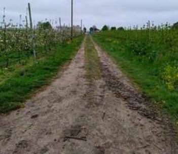terreno agricolo in vendita ad Argenta in zona Consandolo