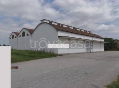 locale commerciale in vendita ad Argenta in zona Benvignante