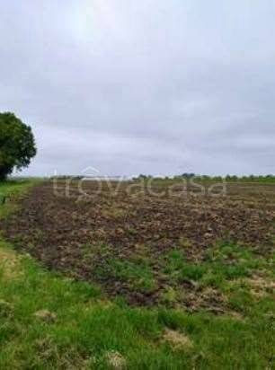 appartamento in vendita ad Argenta in zona Consandolo