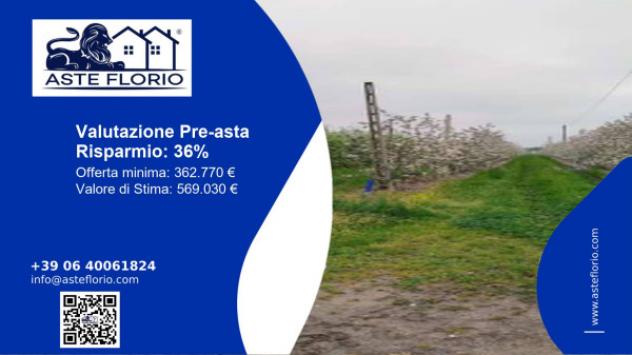 terreno agricolo in vendita ad Argenta in zona Consandolo