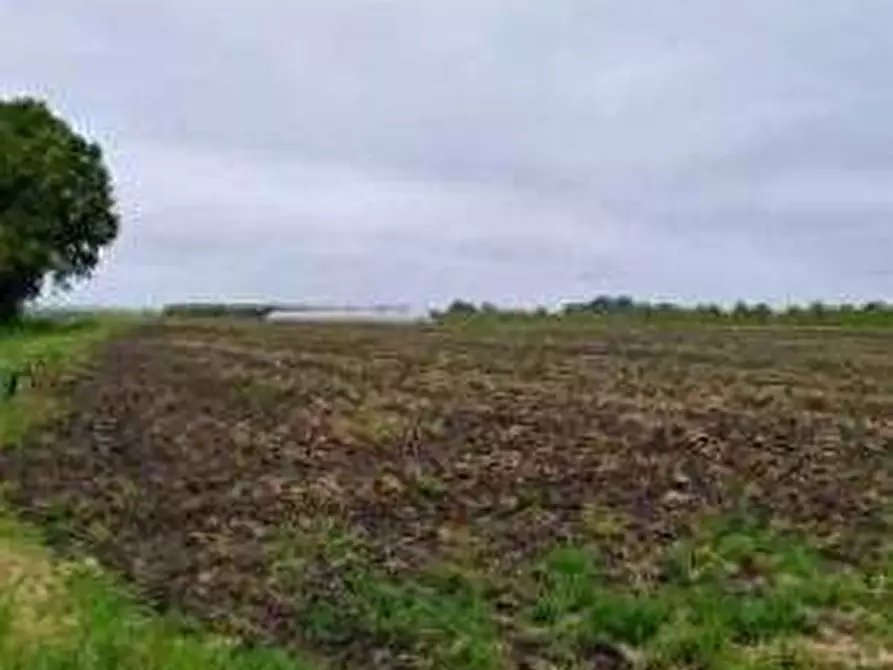 terreno agricolo in vendita ad Argenta in zona Consandolo