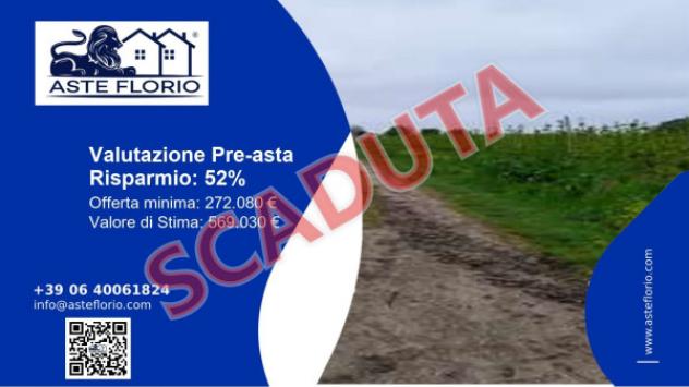 terreno agricolo in vendita ad Argenta in zona Consandolo