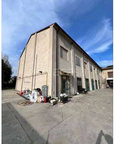 negozio in vendita ad Argenta in zona Consandolo