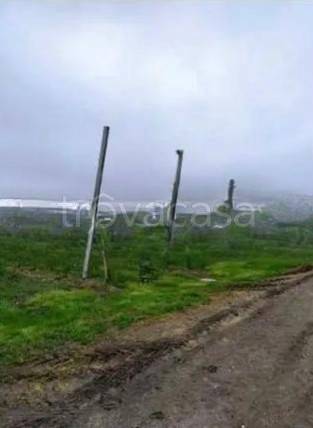 ufficio in vendita ad Argenta