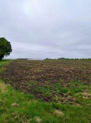 terreno agricolo in vendita ad Argenta in zona Consandolo