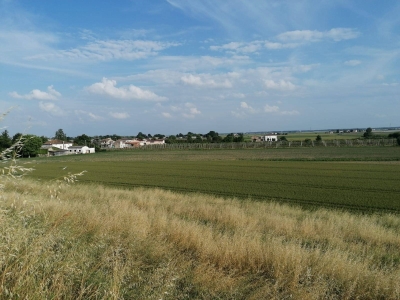 terreno agricolo in vendita a Bondeno
