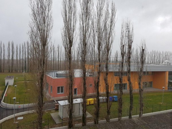 appartamento in vendita a Bondeno