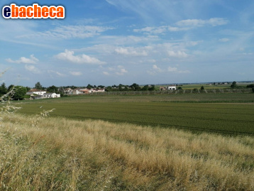 terreno agricolo in vendita a Bondeno