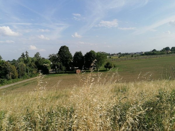 terreno agricolo in vendita a Bondeno