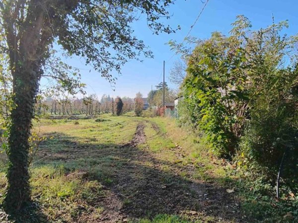 terreno agricolo in vendita a Bondeno