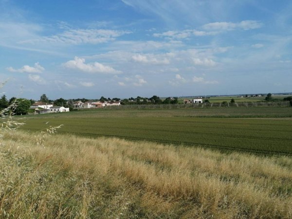 terreno agricolo in vendita a Bondeno