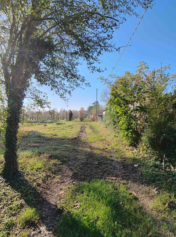 casa indipendente in vendita a Bondeno