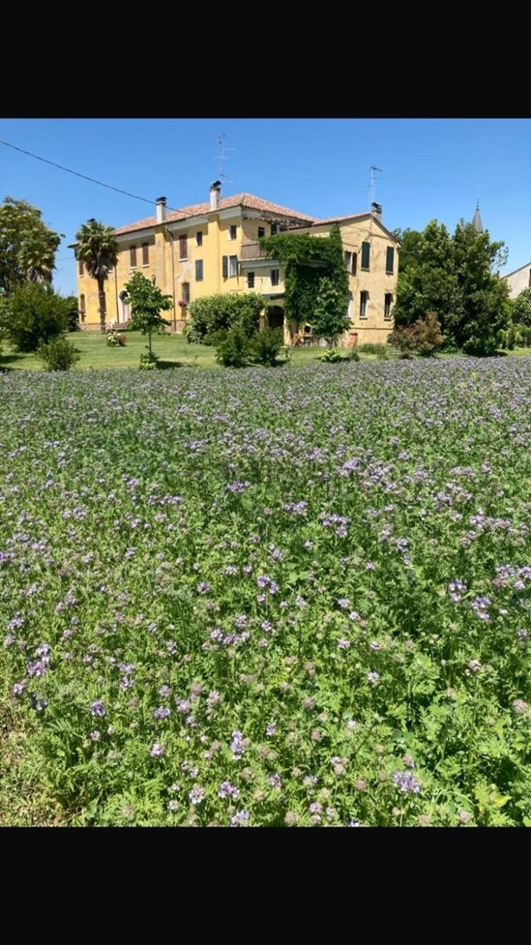 casa indipendente in vendita a Bondeno