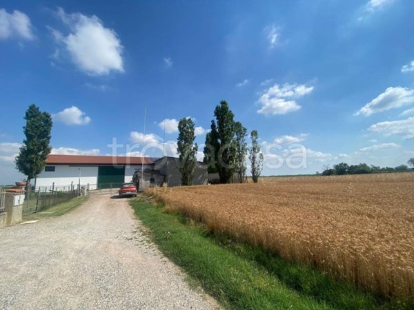 locale commerciale in vendita a Bondeno